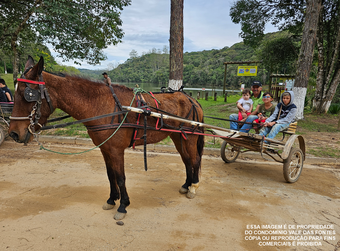 Condomínio Vale das Fontes