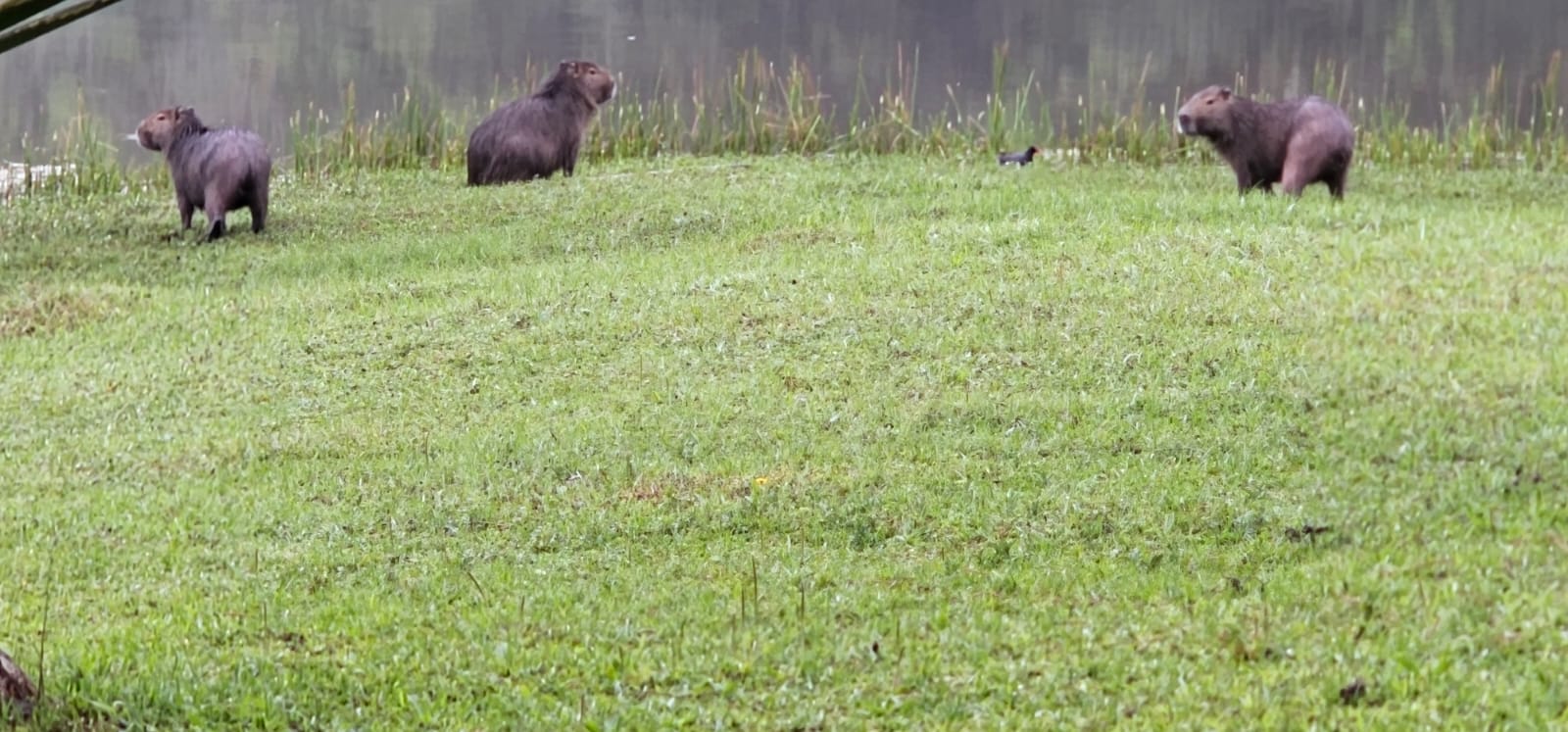 Condomínio Vale das Fontes