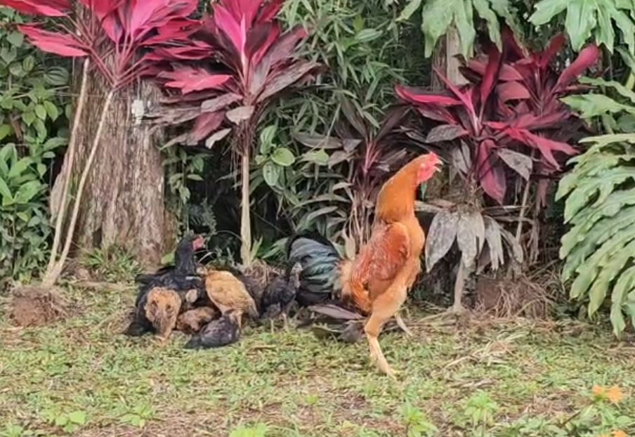 Condomínio Vale das Fontes